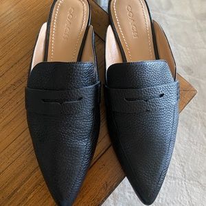 Coach Oxford  pointed slides